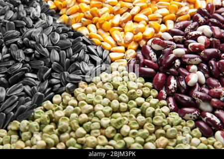 Tipi diversi di cereali e legumi, primo piano Foto Stock