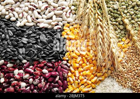 Tipi diversi di cereali e legumi, primo piano Foto Stock