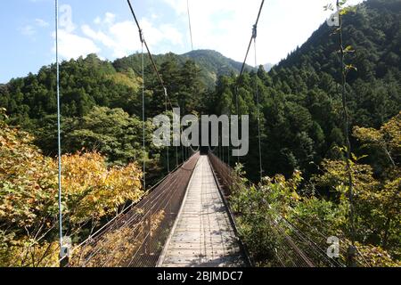 Offerta sospensione Shidakura-bashi su Okutama Mukashi Michi Hike, Prefettura di Ishikawa, Tokyo, Giappone Foto Stock