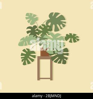 Pianta verde monstera in un vaso. Casa per arredamento interno di casa o ufficio, per creare comfort. Oggetto isolato. Illustrazione vettoriale Illustrazione Vettoriale