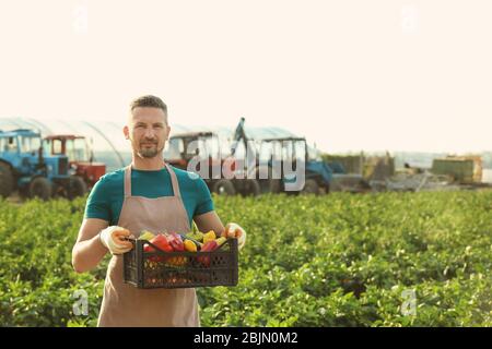 In azienda i figli adulti che lavorano insieme uomo giovane bambino guanti  da giardinaggio in piedi accanto al banco della pianticella di giovani  piante in Foto stock - Alamy