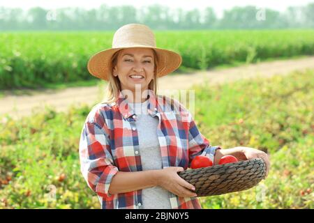 Coltivatore femmina che tiene ciotola di vimini con pomodori in campo Foto Stock