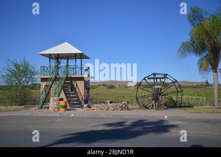 Foto all'aperto sudafricane di Friedrich von Horsten. Vigneti verdi lungo il fiume Orange a Kakamas, Capo Nord. L'irrigazione fa Kalahari verde Foto Stock