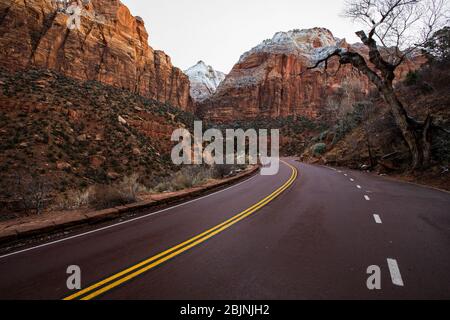 Attraversa il paesaggio rurale, il Parco nazionale di Zion, Utah, USA Foto Stock