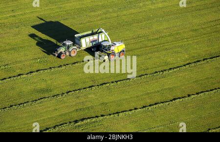 Falciatura di un prato a Ebbinghof, 16.10.2016, vista aerea, Germania, Renania settentrionale-Vestfalia, Ebbinghof Foto Stock