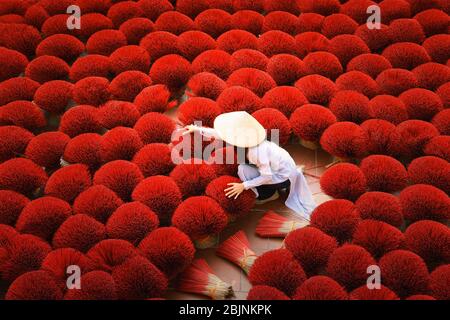 Donna che raccoglie bastoni incensi secchi, Hanoi, Vietnam Foto Stock