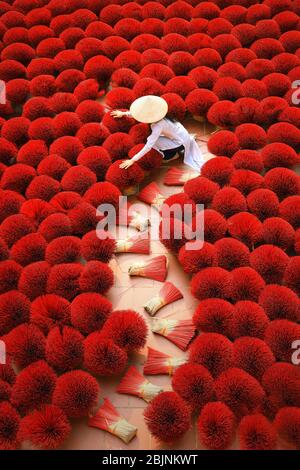 Donna che raccoglie bastoni incensi secchi, Hanoi, Vietnam Foto Stock