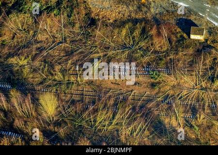 Area di sviluppo dei terreni dismessi e non utilizzati nell'ex cantiere di marshalling e stazione ferroviaria di Deutsche Bahn nel distretto di Dellviertel, 26.01.2017, vista aerea, Germania, Renania Settentrionale-Vestfalia, Ruhr Area, Duisburg Foto Stock