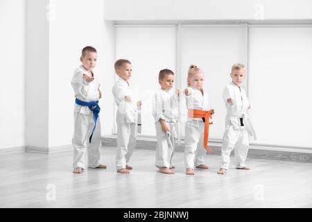 Bambini piccoli che praticano il karate nel dojo Foto Stock