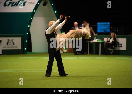 CRUFTS: Heelwork to Music Competition il 5 marzo 2020 Foto Stock