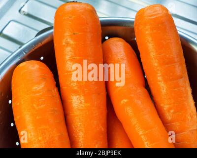 Cinque carote d'arancia lavate in un colapasta in acciaio inossidabile su uno scolo da cucina Foto Stock