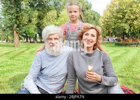 Ragazza carina con nonni in parco il giorno di sole Foto Stock