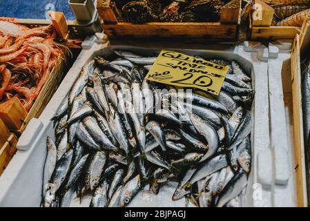 Istanbul Turchia pesce appena pescato al bancone Foto Stock