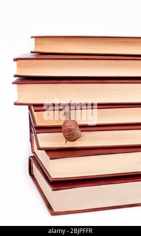 una lumaca marrone che sale su un mucchio di libri Foto Stock