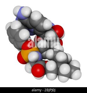 Molecola di farmaco antivirale di Remdesivir. Rendering 3D. Gli atomi sono rappresentati come sfere con codifica a colori convenzionale: Idrogeno (bianco), carbonio (grigio), n Foto Stock