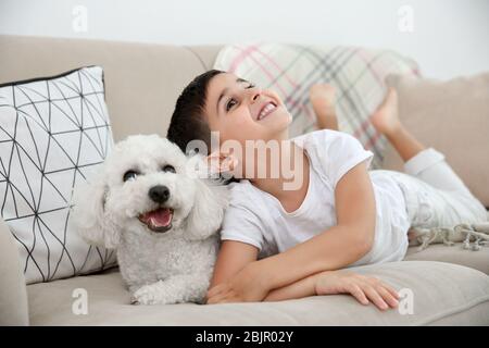 Bambino e bichon frise cane sdraiato sul divano a casa Foto Stock