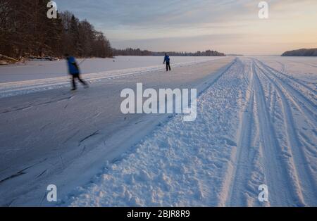 La gente pattina al pubblico, libero e mantenuto 10 chilometri percorso di pattinaggio di giro sul lago di ghiaccio, Lago Suontee, Finlandia Foto Stock