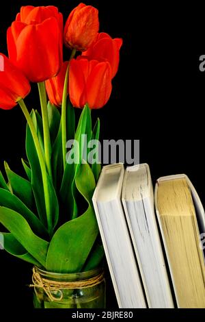 Closeup tulipani rossi fiori in fiore mazzo e foglie verdi con libri isolati su sfondo nero Foto Stock