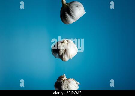 Tre teste di aglio sono appese nell'aria. Spazio copia. Su sfondo blu. Primo piano Foto Stock