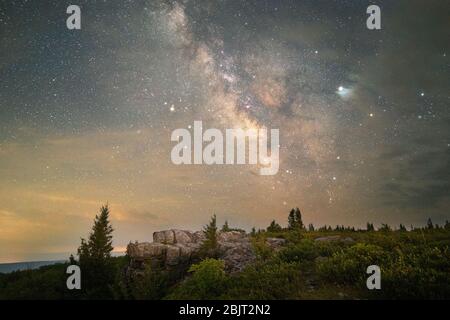 Il crepuscolo della sera tarda delinea forme familiari di affioramenti rocciosi e pini marcati mentre la Via Lattea si erge in vista sulle alte pianure di Dolly Sods Foto Stock