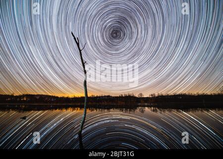 4 ore di sentieri di scale sopra un albero solitario nella Green Bottom Wildlife Management Area della West Virginia. Foto Stock