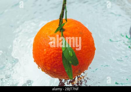 mandarino d'arancia con un ramoscello e foglie appese sull'acqua Foto Stock