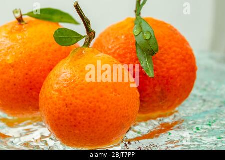 tre tangerini arancioni con un ramo e foglie stanno in acqua su uno sfondo bianco Foto Stock