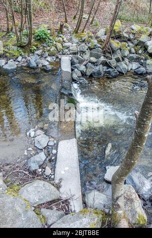 L'acqua fluente sembra essere un vetro a Des Moines Creek nello stato di Washington. Foto Stock