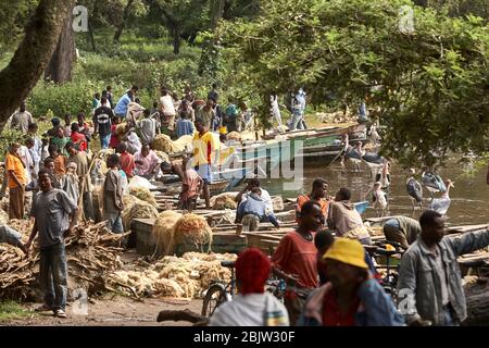 Affollata riva mentre il mercato del pesce al Lago Awassa. La città di Awassa è la capitale delle Nazioni del Sud, delle nazionalità e della Regione dei popoli (SNNPR). Foto Stock