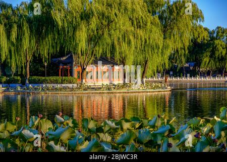 Shichahai storica zona panoramica lago nel centro di Pechino, Cina, con templi, palazzi e giardini Foto Stock