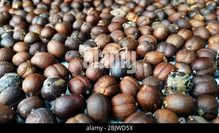 Caffè in grani non lavorati, ancora puri Foto Stock