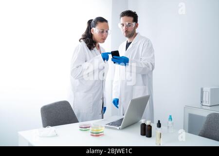 Giovani ricercatori o scienziati che consultano informazioni su uno smartphone sul loro lavoro di ricerca in soluzione di piastre Petri in laboratorio. Biochimica Foto Stock