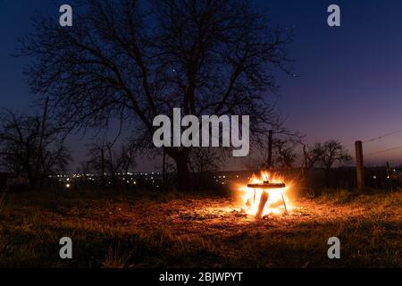 Fuoco fatto da soli nel cortile per barbecue, grande albero, paesaggio incredibile Foto Stock