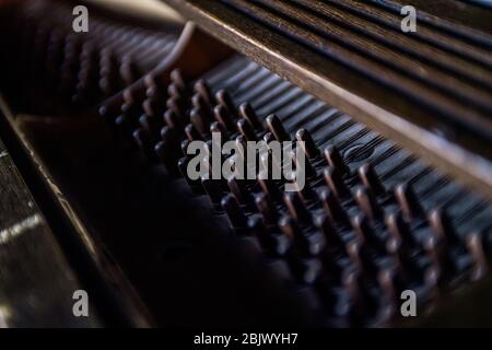 Primo piano teste di sintonizzazione del pianoforte del Baby Grand Foto Stock