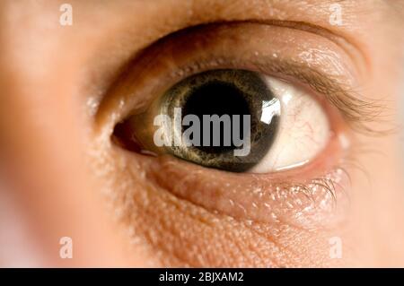 Maschio Occhio Umano Macro Di Un Uomo Di Occhi Blu Guarda Nella Lente Foto Stock Alamy