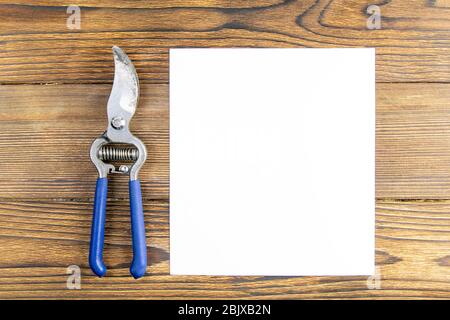 Cesoia blu con un foglio di carta bianco su sfondo di legno. Viste dall'alto con spazio libero Foto Stock