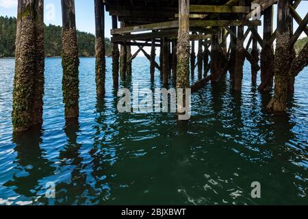 Attracca sulla Bowman Bay nel Deception Pass state Park, Fidalgo Island, Washington state, USA Foto Stock