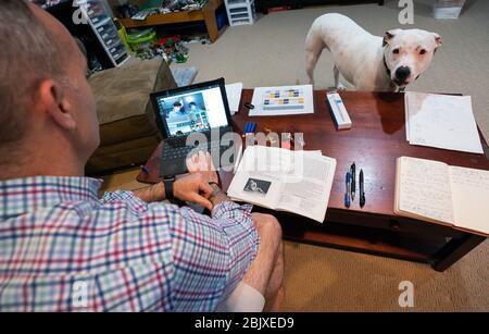 Kensington, Stati non vincolati. 30 Aprile 2020. Andy Luther, un insegnante di latino alla scuola di Landon, insegna una classe remota dalla sua casa a Kensington, Maryland, mentre il suo cane Horton cerca l'attenzione, Giovedi, 20 aprile 2020. Le scuole della regione metropolitana della DC hanno istituito programmi di apprendimento a distanza quando le loro strutture sono state chiuse per contribuire a frenare la diffusione della pandemia COVID-19. Foto di Kevin Dietsch/UPI Credit: UPI/Alamy Live News Foto Stock