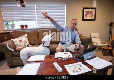 Kensington, Stati non vincolati. 30 Aprile 2020. Andy Luther, un insegnante di latino alla scuola di Landon, lancia una palla per distrarre il suo cane Horton, mentre insegna una classe remota dalla sua casa a Kensington, Maryland, Giovedi, 20 aprile 2020. Le scuole della regione metropolitana della DC hanno istituito programmi di apprendimento a distanza, poiché le loro strutture sono state costrette a chiudere per contribuire a frenare la diffusione del Coronavirus, COVID-19. Foto di Kevin Dietsch/UPI Credit: UPI/Alamy Live News Foto Stock