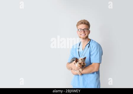 Veterinario con cute cane su sfondo chiaro Foto Stock