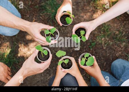 Volontari con i giovani piante all'aperto Foto Stock