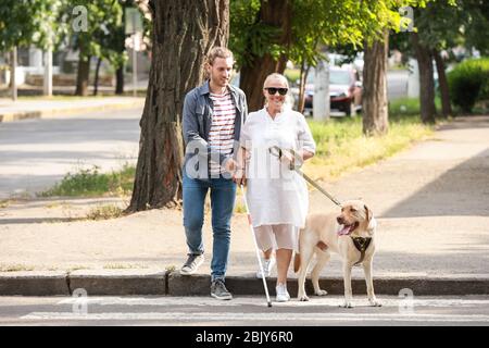 Blind donna matura con cane guida e figlio strada di attraversamento Foto Stock
