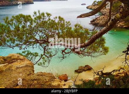 il bellissimo paesaggio estivo sulla spiaggia di cala saladeta nell'isola di ibiza Foto Stock