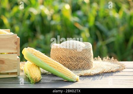 Scatola di legno con le pannocchie di granoturco e hat sul tavolo all'aperto Foto Stock