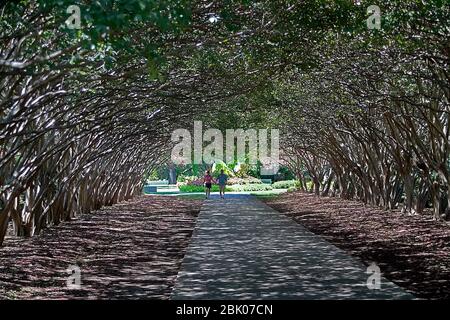 Dallas Arboretum Foto Stock