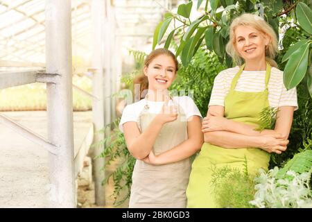 Ritratto di donna giardinieri in serra Foto Stock