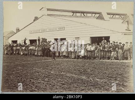 Horse shoeing shop, Intendente del dipartimento, Washington D.C., Aprile 1865 Foto Stock