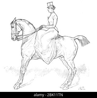 Equitazione per donne 059. Foto Stock