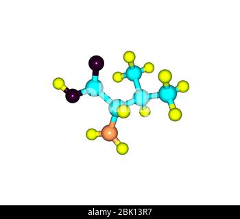 La valina (Val) è un amminoacido con formula chimica HO2CCH(NH2)CH(CH3)2 Foto Stock