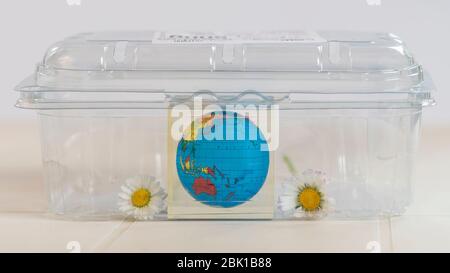 Un pianeta terra e due margherite racchiuse in un contenitore di plastica simboleggiano i gravi problemi ambientali che minacciano il nostro pianeta Foto Stock